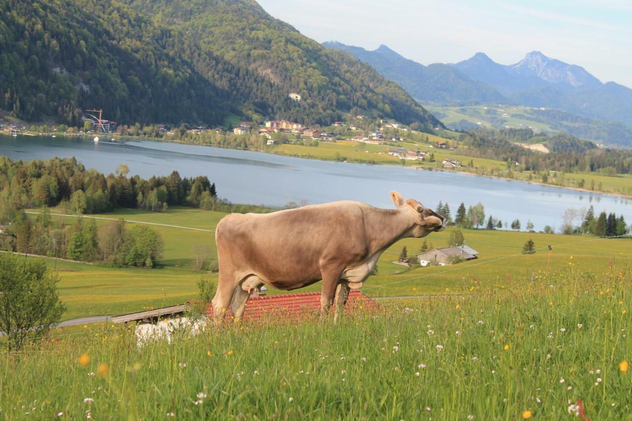 Willa Chalet Strobl Walchsee Zewnętrze zdjęcie